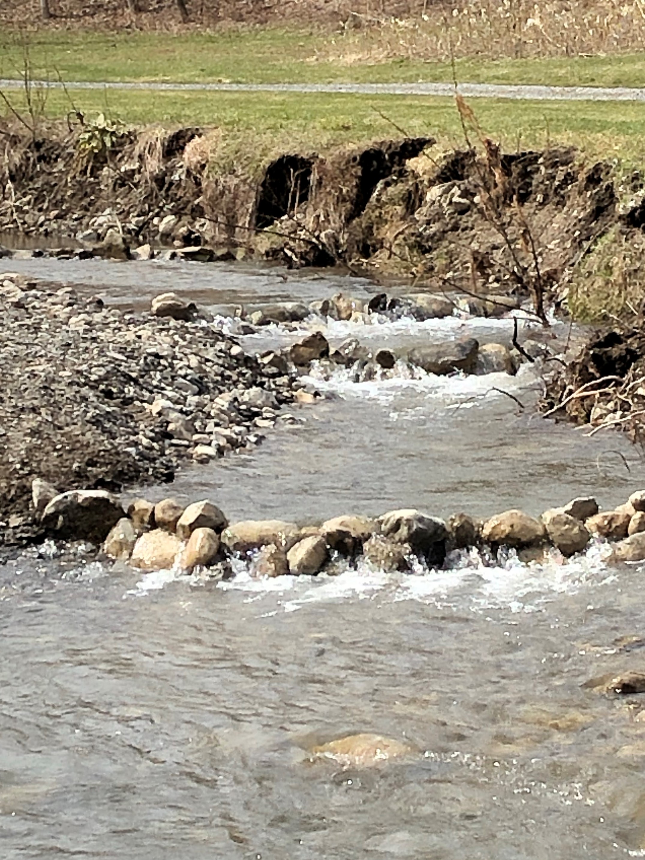 Patrick's dams made out of rocks